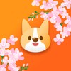 多剧视频 